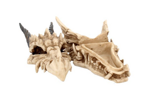 Dragon skull trinket box 20cm